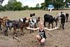 Hand-milking Dairy Farm Tour.