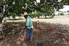 Tour Ordeño manual en Granja lechera