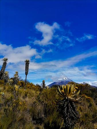 Nevado Del Tolima, Expedición 4 Días.