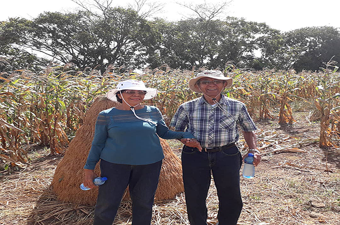 Tour De Plantación Y Cosecha