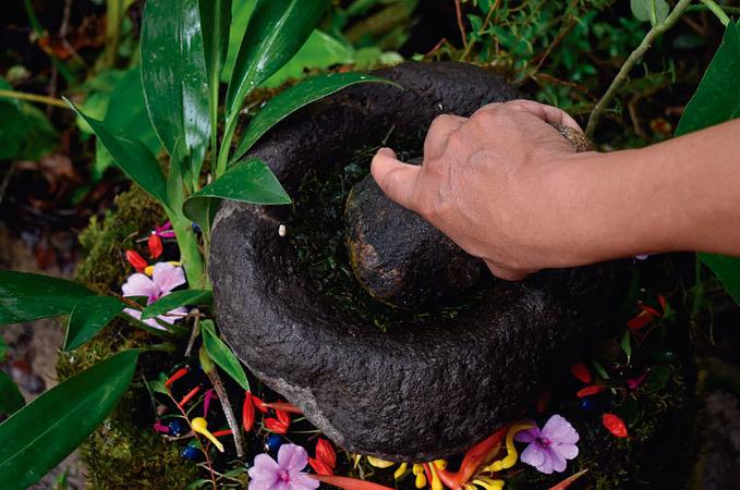 Ayén Sanación Ancestral Camentsa