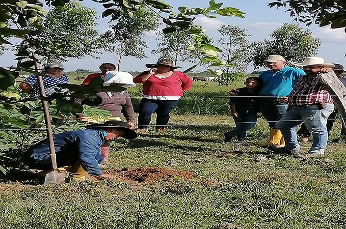 Recorrido Agroturistico Entre Saberes Y Sabores