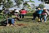 Recorrido Agroturistico entre saberes y sabores