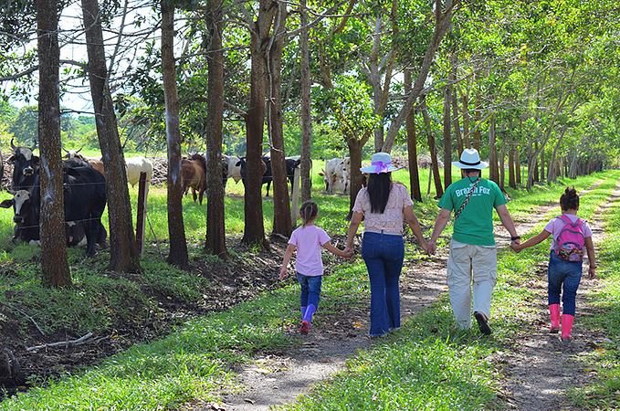 Recorrido Agroturistico Entre Saberes Y Sabores