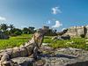 Tulum Cenote