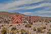 PARQUE NACIONAL DE SAJAMA Y  SALAR DE UYUNI 3 DÍAS / 2 NOCHE