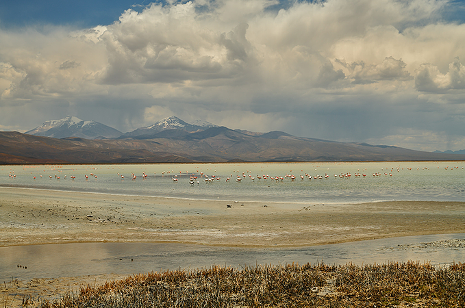 Sajama & Uyuni Salt Flat 3 Days / 2 Nights