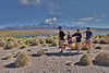 Parque Nacional De Sajama Y Salar De Uyuni 5 Días / 4 Noches