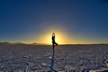 Parque Nacional De Sajama Y Salar De Uyuni 5 Días / 4 Noches