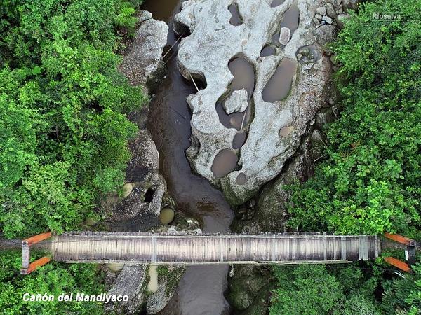 Conexión Con La Selva